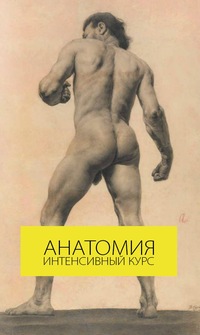 Пластическая анатомия - Онлайн интенсив_0.jpg